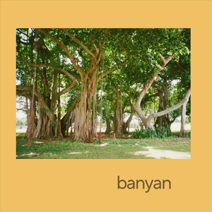 Banyan
