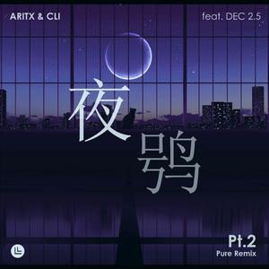 夜鸮Pt.2