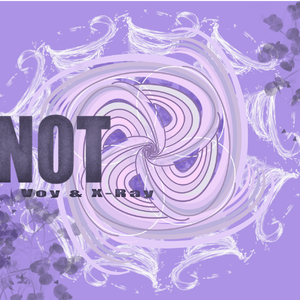 不该（Prod.Jianastic.x)