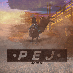 PEJ (Remix)