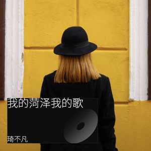 我的菏泽我的歌 DJ光波版 伴奏