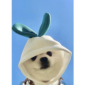 爱上你（翻唱 SHE）