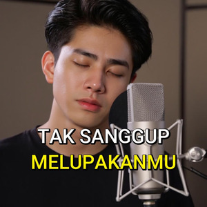TAK SANGGUP MELUPAKANMU
