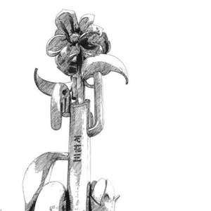 0558（Prod by Leyoo17）