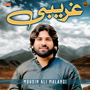 Gareebi (Assan Key Tain Gareebi Nu)