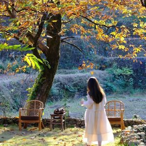 灿烂的一天 伴奏