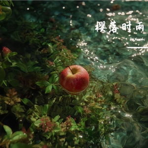 樱落时雨