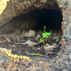 new beginnings (demo track)