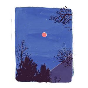 我怕来者不是你