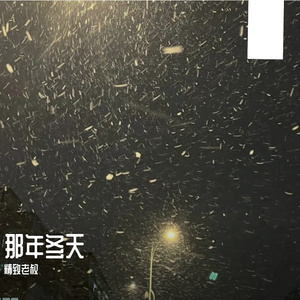 那年冬天