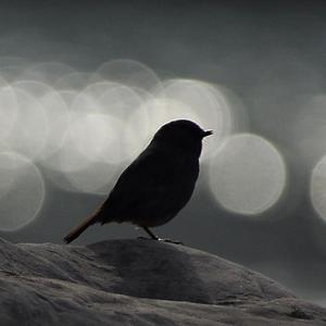 2021 信仰(Dj版）