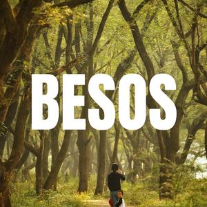 BESOS
