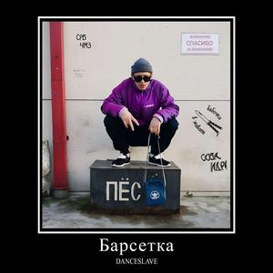 Барсетка