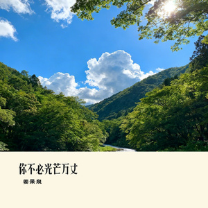 你不必光芒万丈