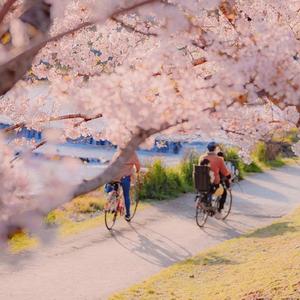 Little Monkey Rides on the Little Donkey