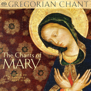 Feast of the Immaculate Conception:Antiphon. Salve Regina (Solemn)