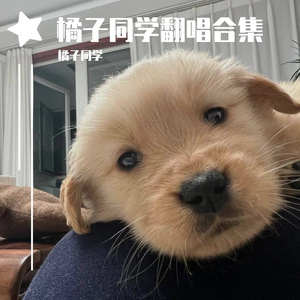 有可能的夜晚（Cover：曾轶可）