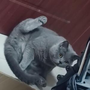 在摇曳的花丛中感受到了你的洗发水香气