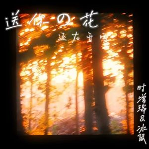 送你的花还在开吗