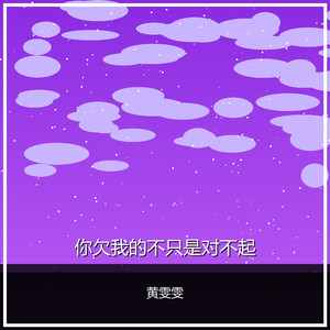 你欠我的不只是对不起