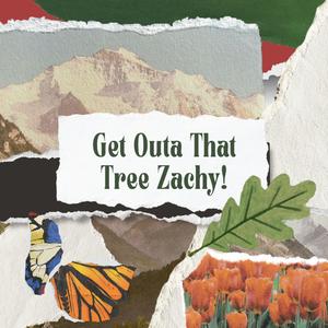 Get Outa That Tree Zachy!