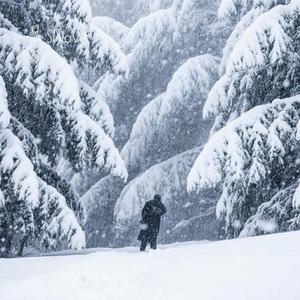 雪还下不下 (Cover 刘佳宁)