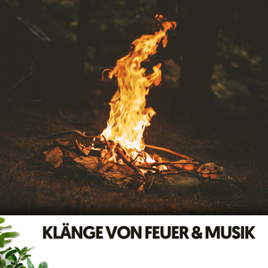 Fokuszeiten