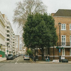 Can't Help Falling in Love