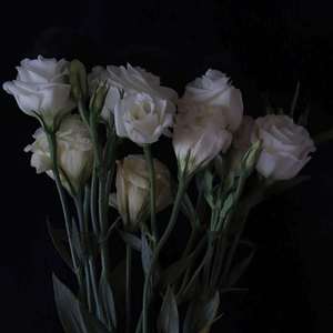 烟雨行舟（cover伦桑）