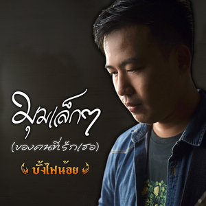 มุมเล็กๆ (ของคนที่รักเธอ)