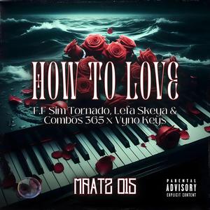 How To Love (feat. Sim Tornado & Combos365)