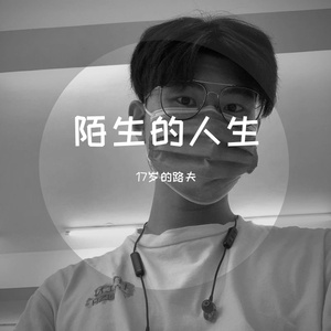 陌生的人生