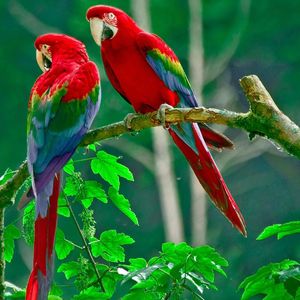 可爱的小宝宝 (10)