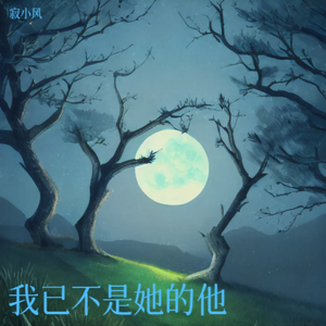 我已不是她的他