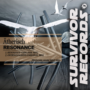 Overshadowed (Original Mix)