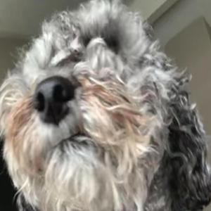 Booth (feat. Preston)