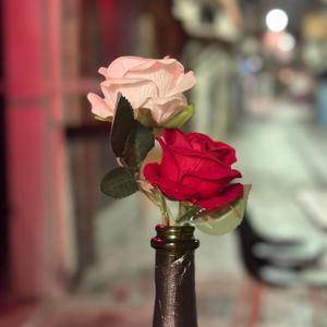 La Danse des Mondes (The Dance of the Worlds)