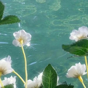 小水