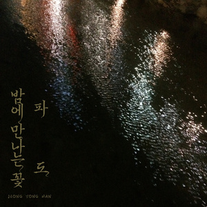 밤에 만나는 꽃