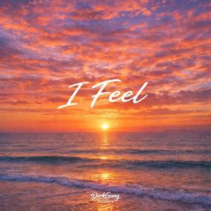 I Feel (feat. Hylost)