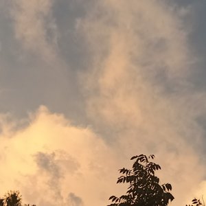 未拆封夏天里的青春信札