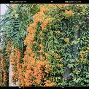 你要成为最好的自己