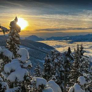 עשרים וארבעה שירים