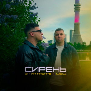 Сирень