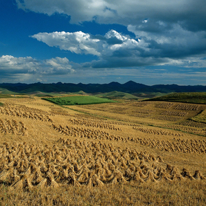 如遇相见 我在秋天 (BGM)