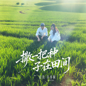 撒一把种子在田间