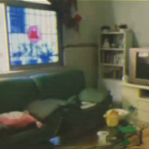 阳光下的水草叶