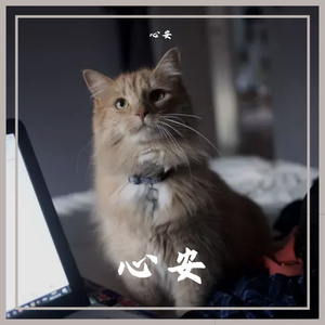 小刘在养崽崽 (10)