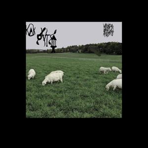 Outro (The Fall of Carthage)