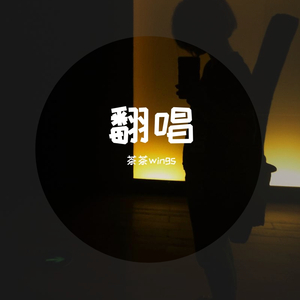 这是我一生中最勇敢的瞬间cover棱镜